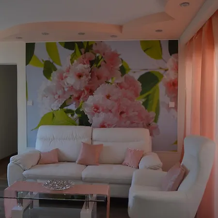 Apartment двуспальная возле дасуди *
